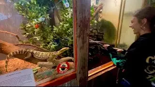 Reptile Mini Zoo - McHenry il.