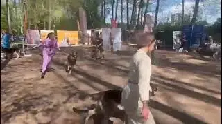 сравнение на ЛК