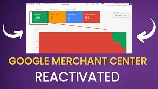 how to reactivated google merchant center suspension and reactivated for shopping ads