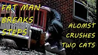 Fat Man Breaks Steps and Nearly Crushes Two Cats