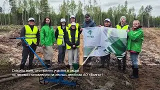 Программа лесовосстановления АО "Волга"
