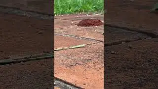 Trabajando duro un fin de año