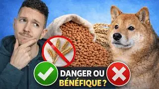 Grain-free kibble: good or bad idea for your dog?