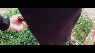 Загадочное видео найденное при раскопках