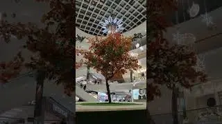 28 листопада 2022 р.