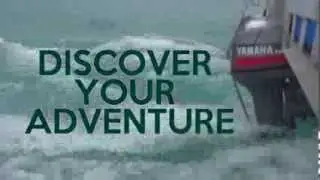 Discover Your Adventure with El Gato Tours on Ambergris Caye, Belize