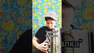 Гадалка, на баяне 
