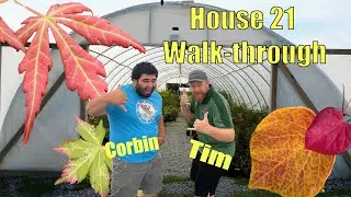 Japanese Maple Nursery Tour w/ Tim & Corbin in House 21