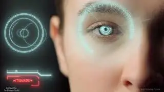 Who oversees the internal parts of the human body. Let's Find Out!
