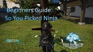 So you picked Ninja : FF14 Beginners Guide