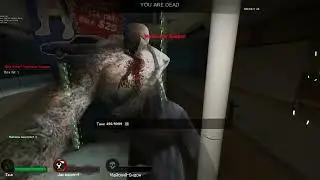 Гей