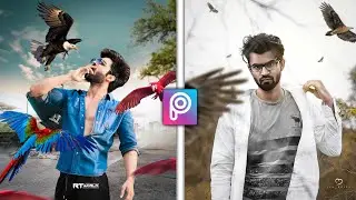Bird's Effect PicsArt Editing | Viral Birds 2021 Editing | PicsArt Bird's Concept Editing | RTWORLD