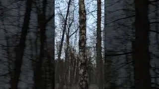 Парк у 