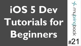 Learn Xcode 4.3 Tutorial iOS iPad iPhone 1.21 TableView Cell Image