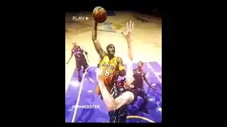 The Black Mamba 🐍
