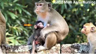 What's a lovely day? Looks Comfortable MOM Anna is Nursing her baby Without any anger