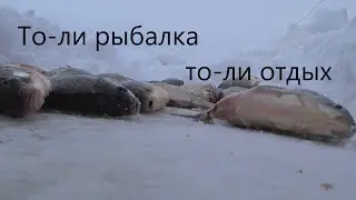 Первый день весны/То-ли рыбалка, то-ли отдых/ Две ночи на льду/ И снова Салтоим.