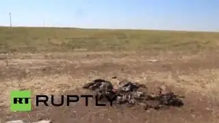 Ukraine  Corpses and destroyed vehicles left behind in Lutugino GRAPHIC
