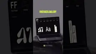 Amazing & Unique Free Fonts For Designers ❇️