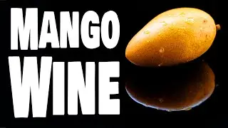 How We Made Mango Wine at Home