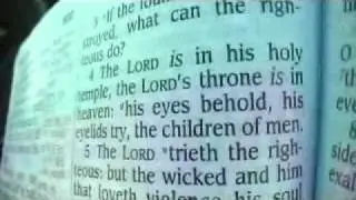 Psalm 11 Holy Bible (King James)
