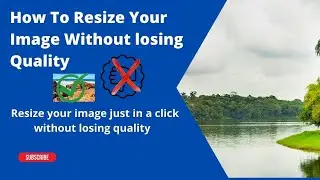 How To Resize an Image Without Losing Quality