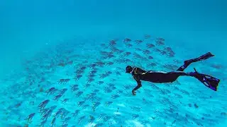 PARQUE SUBMARINO LA CALETA BOCA CHICA 🇩🇴