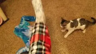 chloe does chloe things