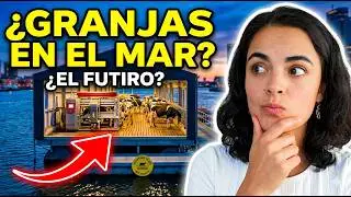 Ep#8 - ¿Son las granjas flotantes una opción sustentable para el futuro? #agrotech #foodtech