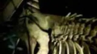What is it? No 2