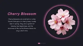 Responsive Sync Slider with Text and Image Animations | Swiper JS Tutorial | HTML CSS