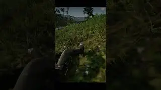 TNT DE RED DEAD REDEMPTION 2
