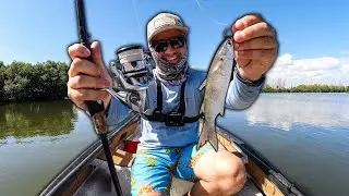 THIS is the BEST Way to Catch SNOOK! (Live Mullet)