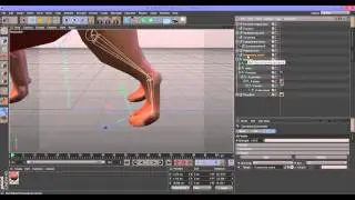сетап собаки в Cinema 4D