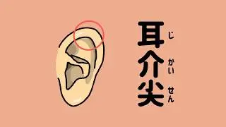 【ASMR】Licking a top of ear