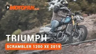 TRIUMPH SCRAMBLER 1200 XE 2019  - Prueba, opinión y detalles - Motofan