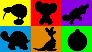 Australian Zoo - Animals for children