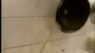 Прикольная реклама пива