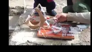 Смешное видео     Умные дети