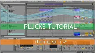 How to make PLUCKS with Ableton Operator [Beginner]