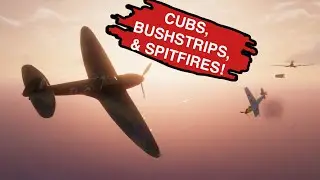 Cubs, Bush strips and Spitfires! - NovaWrap 16 June 2024