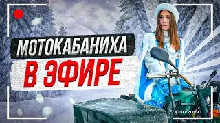 С праздником дорогих МУЖЧИН! Стрим МотоКАБАНИХИ 🔥☃