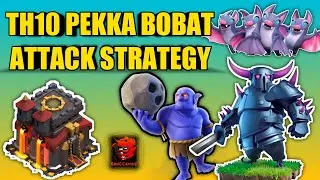 Best TH10 Pekka BoBat Attack Strategy for War | How to Use Pekka Bobat at TH10 | Clash Of Clans COC