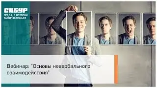 Вебинар: «Основы невербального взаимодействия»