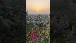 SUNRISE 🌞 DUNES. JAISALMER. INDIA.