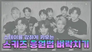 [스트레이키즈 SKZ] 스테이를 강하게 키우는 스키즈 응원법 벼락치기