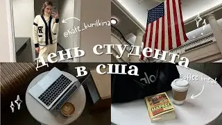 День студента в Америке 🇺🇸 Моя учебная рутина в Бостоне