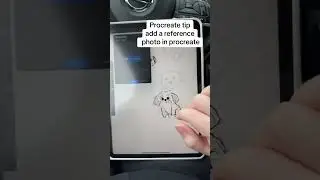 Add reference image in procreate