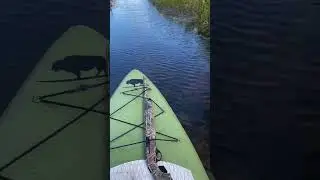 Discover New Hunting Grounds On Your SUP | Atoll Boards