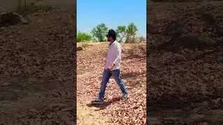 Badshah mai badshah #shorts #short #trending #viral #trendingshorts #viralvideo #hindisong #trend